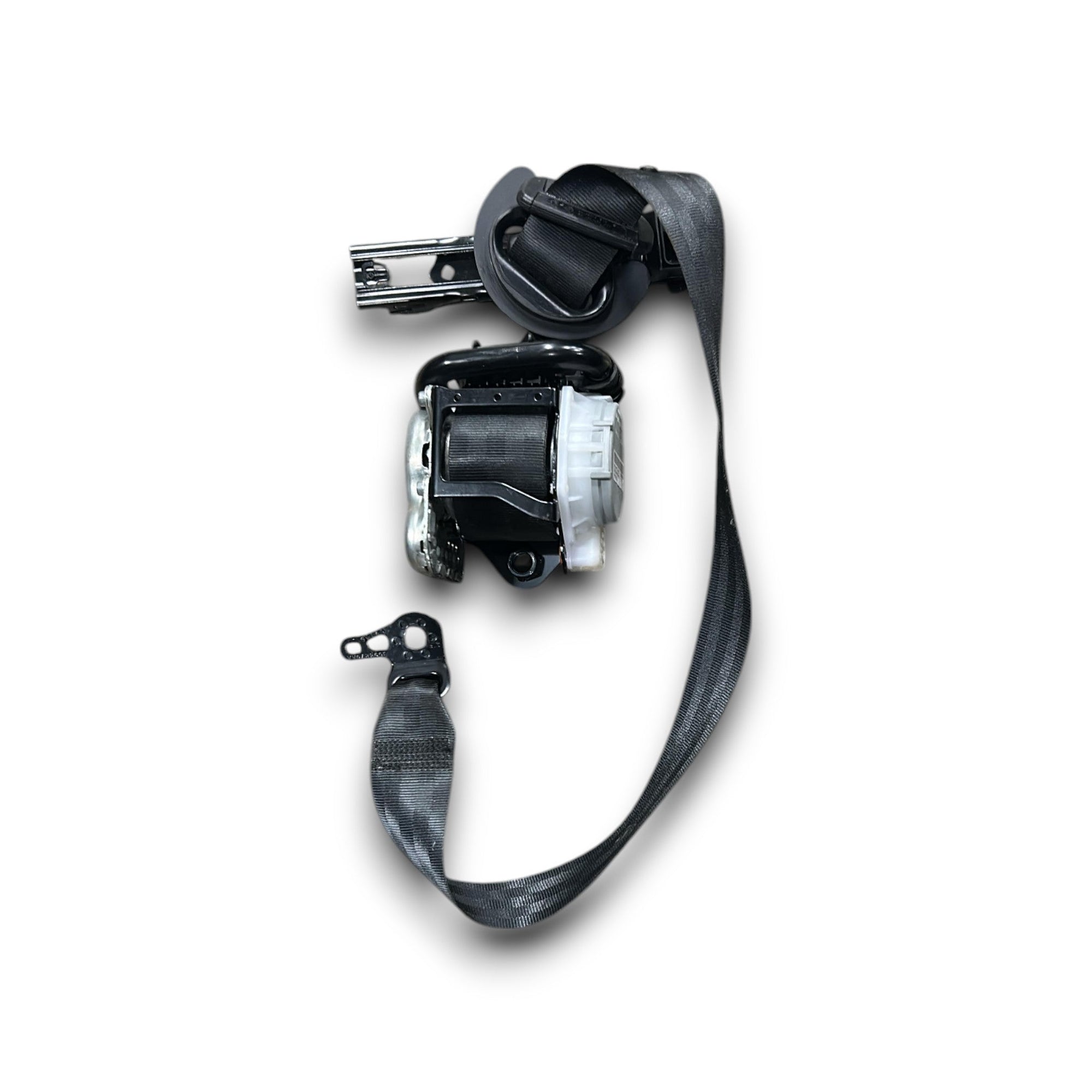 Cintura di sicurezza anteriore destra Audi A3 8V (2012 - 2020) cod.3066322 - F&P CRASH SRLS - Ricambi Usati