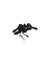 Devioluci Renault Clio IV (2012 > 2019) cod.255671163R - F&P CRASH SRLS - Ricambi Usati