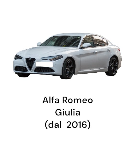 Griglia Fendinebbia Anteriore Destro (DX) Alfa Romeo Giulia (2016 > ) cod . 156085907 - F&P CRASH SRLS - Ricambi Usati