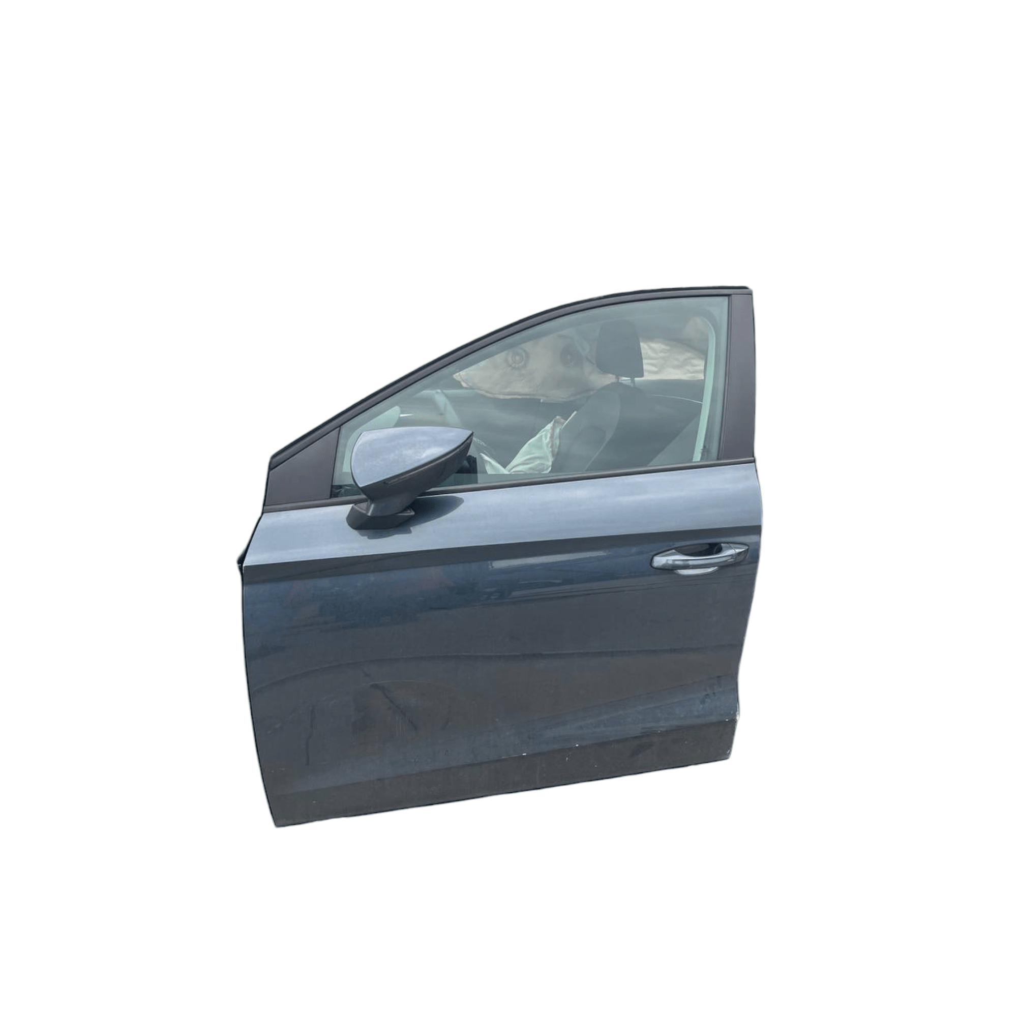 Porta / portiera / sportello anteriore sinistro Seat Ibiza V (2017 - >) - F&P CRASH SRLS - Ricambi Usati