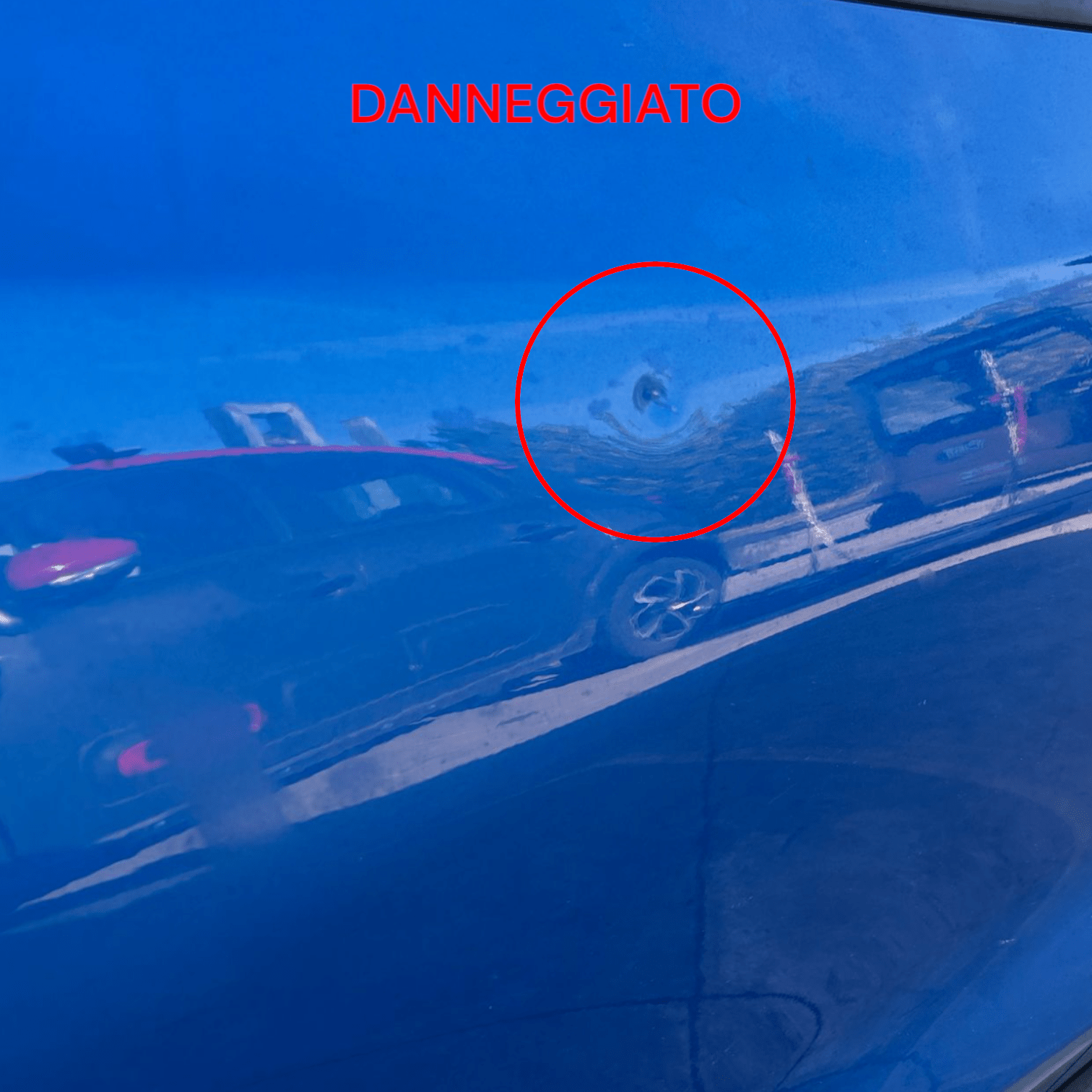 Portiera Posteriore Destra Blu Ford Focus Active (2018 >) Porta / Sportello - F&P CRASH SRLS - Ricambi Usati