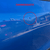 Portiera Posteriore Destra Blu Ford Focus Active (2018 >) Porta / Sportello - F&P CRASH SRLS - Ricambi Usati